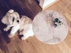 OX Denmarq Mini O Side Table Ø40 Cm, Brass Frame/Glass -Maze Furni Shop ox denmarq mini o side table 40 cm glass 2